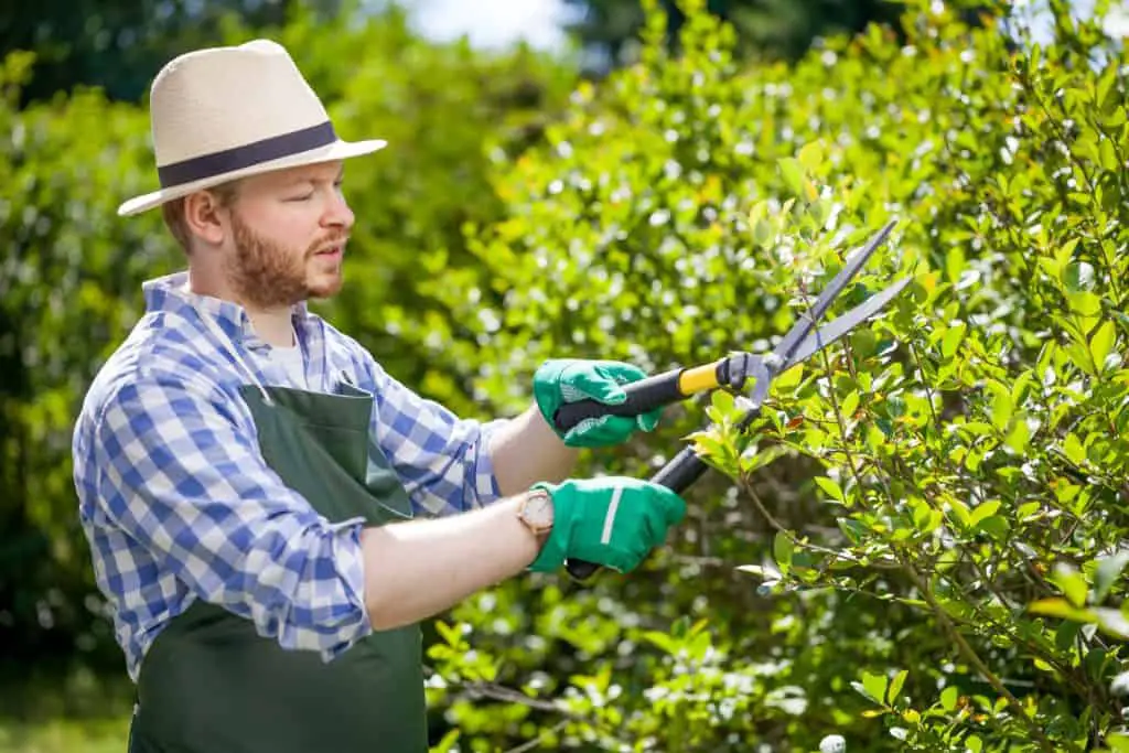 Is Landscaping A Hard Job Ask The, Gardening And Landscaping Jobs